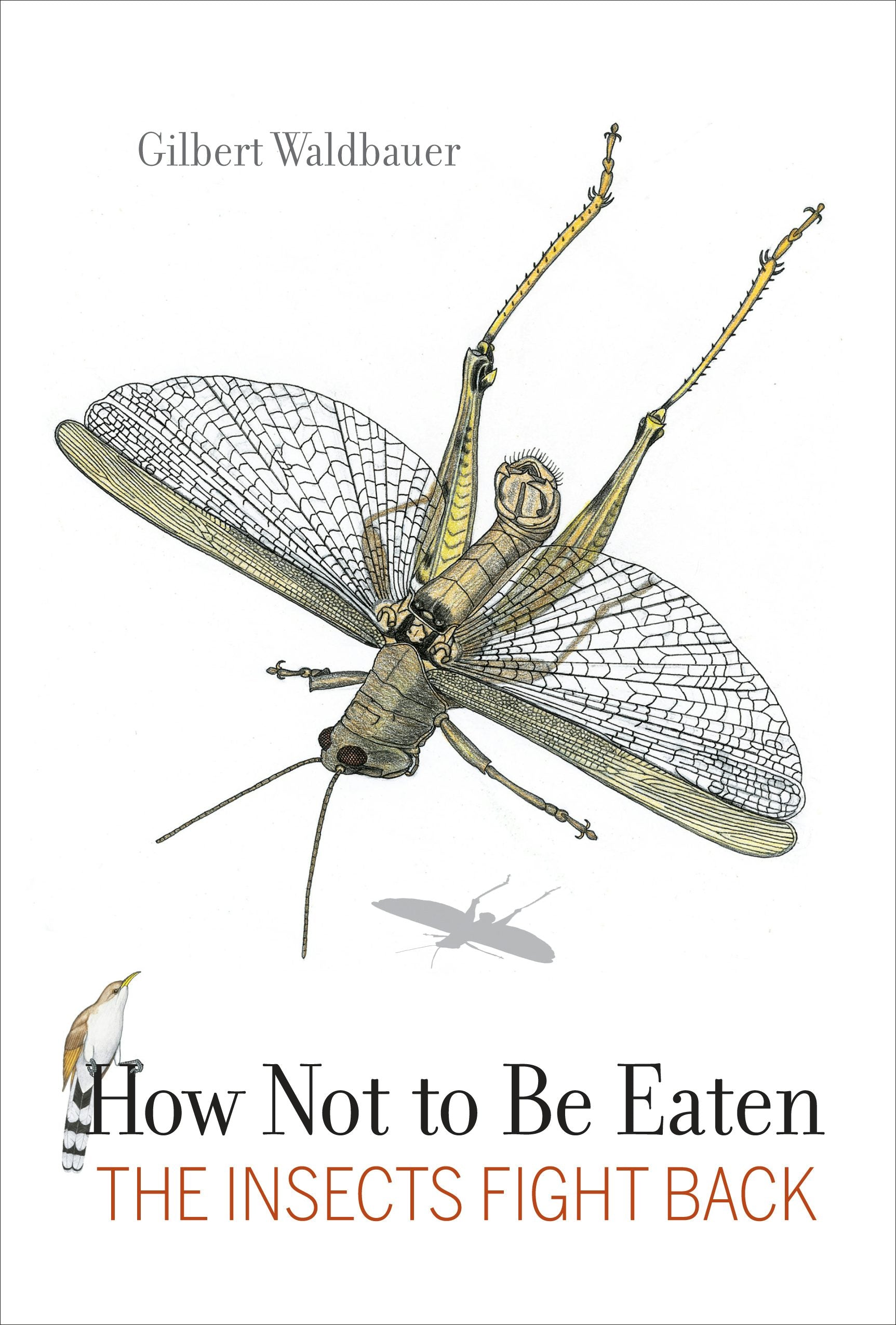 Book cover image for How Not to Be Eaten ISBN: 9780520952461